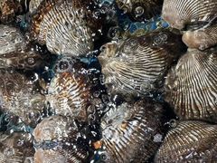 -东辰望海鱼码头·海鲜餐厅
