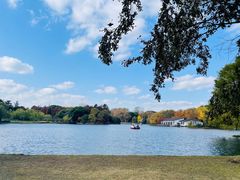 -上海共青森林公园