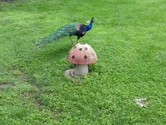 android_upload_pic-西昌邛海宾馆