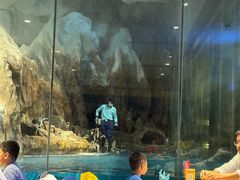 -帝企鹅自助餐厅•儿童岛•真企鹅(长隆企鹅酒店)