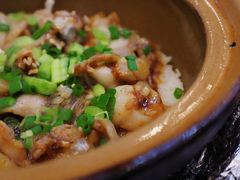 -红星光发煲仔饭(文海店)