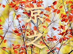 -玲珑塔公园