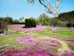 -棒棰岛宾馆景区