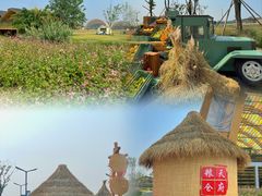 -中国天府农业博览园