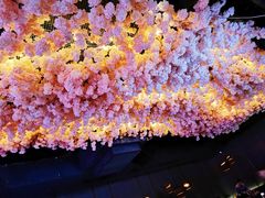 -TZ House音乐现场(茅台店)