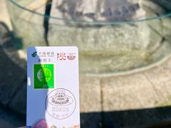 -黄帝陵