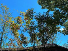 -东钱湖旅游度假区