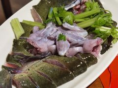 美蛙鱼头锅-红牌美蛙鱼头火锅(万辉国际广场店)