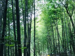 -鸡枕山
