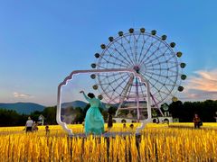 -云幽谷旅游区