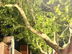 -衡山路(地铁站)