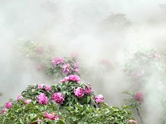 -北京西山国家森林公园