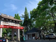 -岣嵝峰国家森林公园