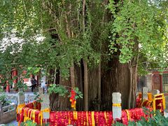 -潭柘寺景区