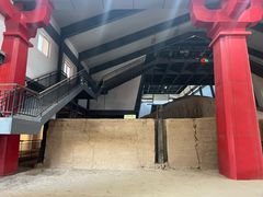 -汉景帝阳陵博物院