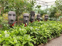 -南宫五洲植物乐园