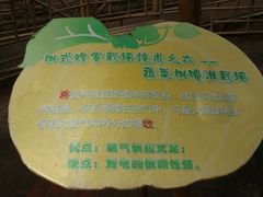 景点-观光南瓜园