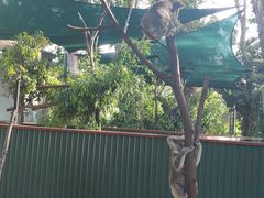 -可伦宾野生动物保护区