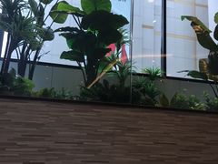 -必胜客(步行街店)