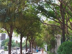 -广州莲花山旅游区