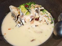 -鲜潭蒸汽石锅鱼(五道口购物中心店)