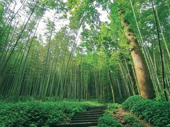 -西湖风景区十里琅珰-五云山