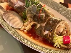 -采悦轩中餐厅·粤菜·海南菜(神州半岛喜来登度假酒店)