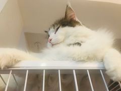 -小时光咖啡馆(北锣鼓巷店)