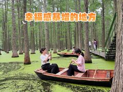 -渌洋湖湿地公园