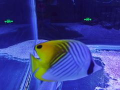 -邯郸海洋世界