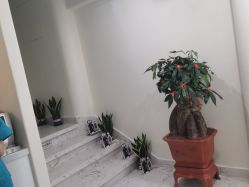 -海涛医疗美容·面部抗衰·注射美鼻