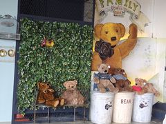 -济州岛泰迪熊博物馆