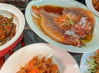 带爸妈吃秦皇岛！捞饭鲜到想打包！！