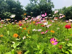 -盘龙城国家考古遗址公园