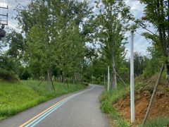 -白鹭湾湿地公园