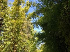 -古镇小吃
