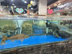 -东江海鲜酒家(艺都分店)