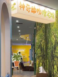 -神奇动物撸宠馆·羊驼·小浣熊·异宠(豫园店)