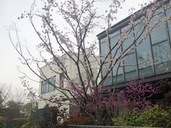 -水月周庄铂尔曼酒店-水月荟中餐厅