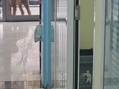 -全心全意连锁动物医院·微创中心·内科急重症·心脏专科(丰管路店)