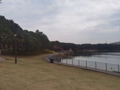 -美兰湖景区