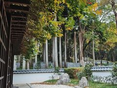 -深圳国际园林花卉博览园