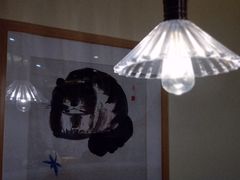 -滚猫咖啡·猫咖·猫友好撸猫(未来城店)