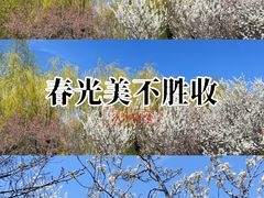 -长春公园(普阳街道)