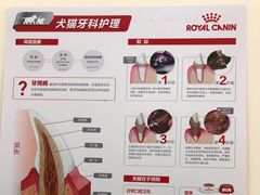 -中农国际动物医院24小时·猫科·骨科·急重症中心