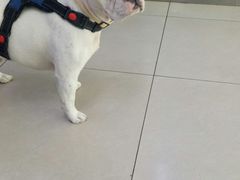 -宠颐生中康贝怡动物医院