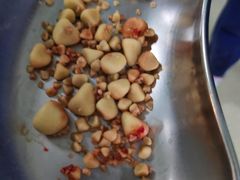 -美联众合宠物医院·爱萌分院·内外科·猫科中心