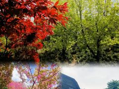 -大连天门山国家森林公园