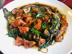 -生态苑农庄(十里画廊遇龙河店)