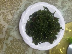 炝刺五叶-养顺农家院